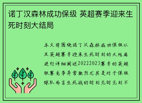 诺丁汉森林成功保级 英超赛季迎来生死时刻大结局 诺丁汉森林成功保级 英超赛季迎来生死时刻大结局